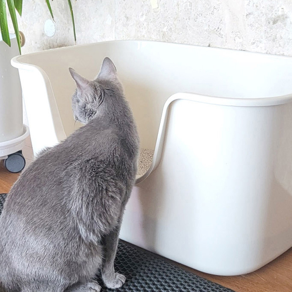 네이처펫 고양이 어니스트 초대형 화장실 (아이