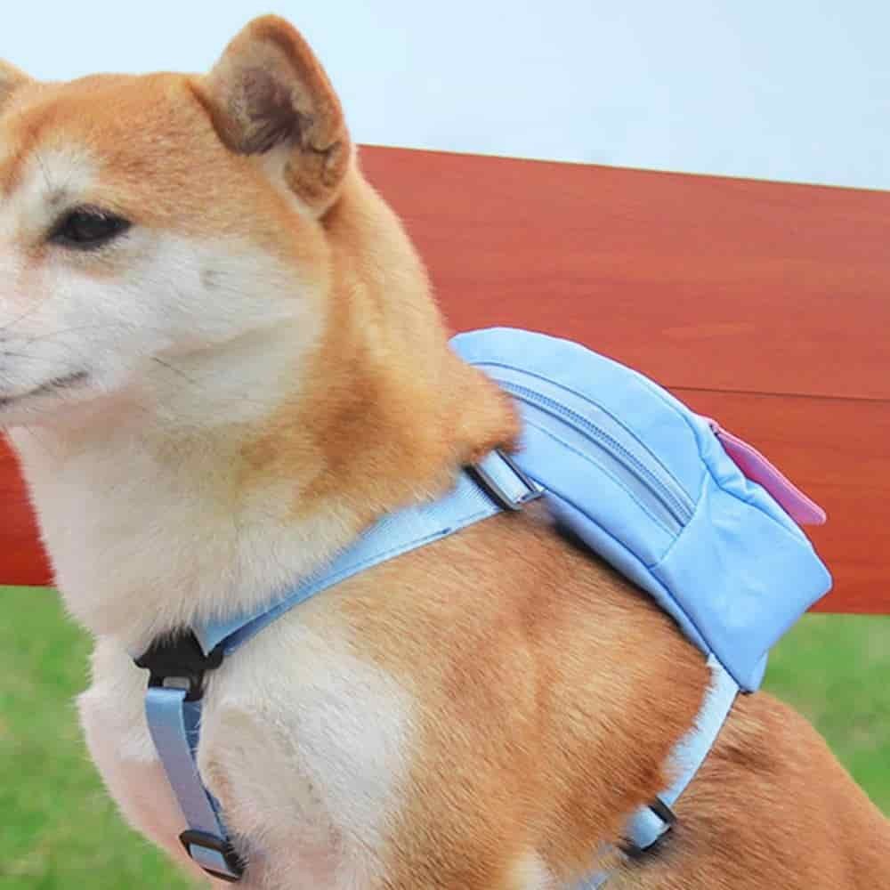 강아지 하네스 반려견가방 강아지백팩 하네스백팩 강아지하네스 대표 이미지