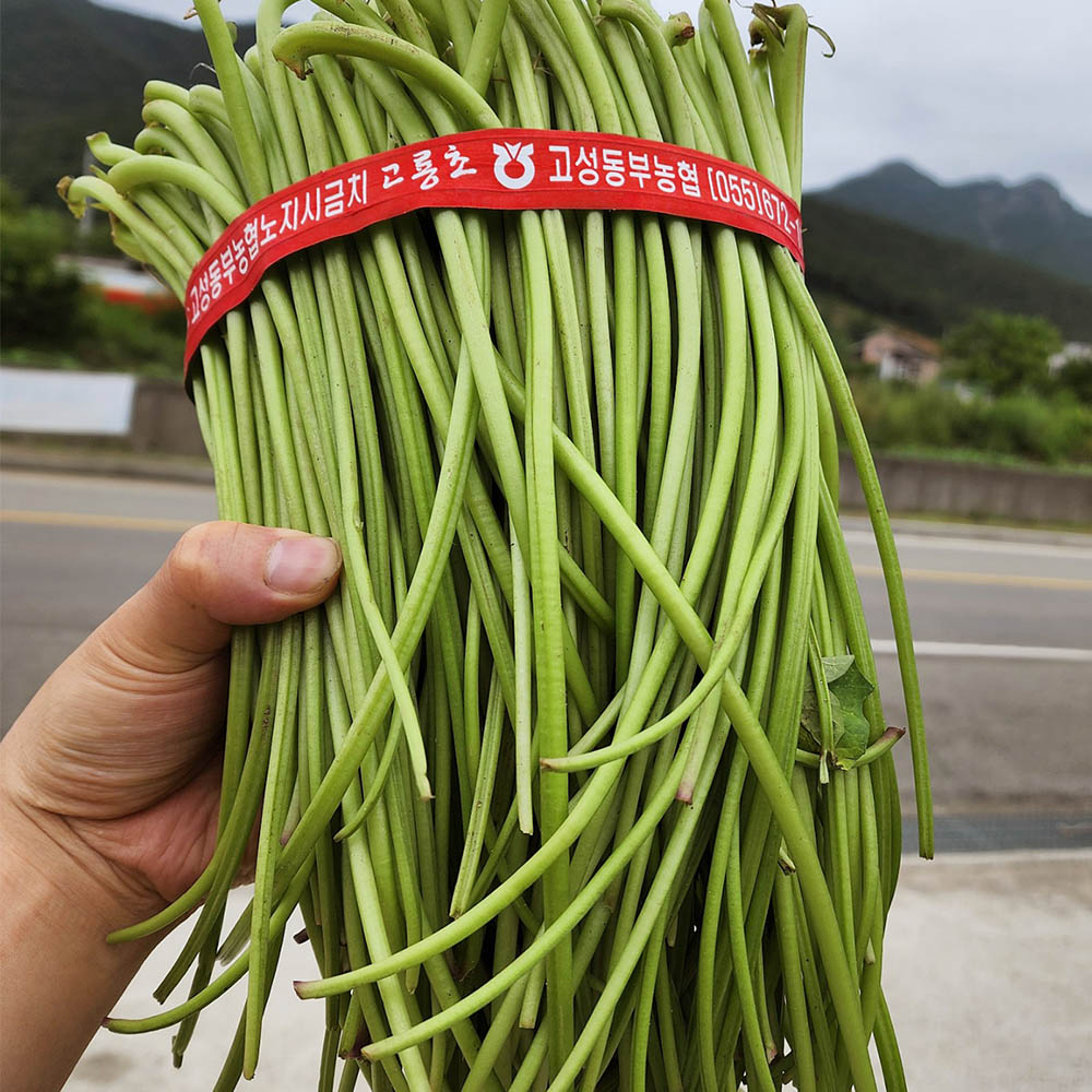 국내산 잎 제거 고구마순 1-3kg 대표 이미지